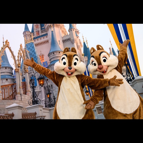 Meet your Posher, Melissa - Picture 1 of 1